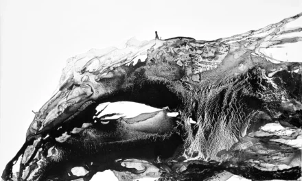 Marina Chisty: El silencio que habita en el blanco y negro