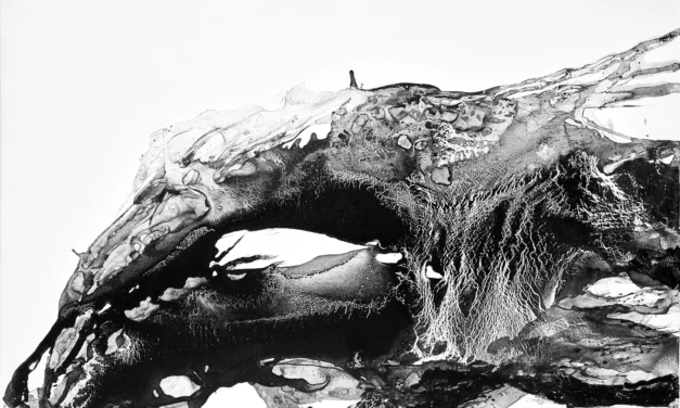 Marina Chisty: El silencio que habita en el blanco y negro