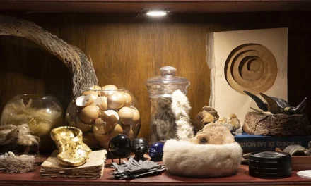 PAMEN PEREIRA: LA ALQUIMIA DE LO LEVE