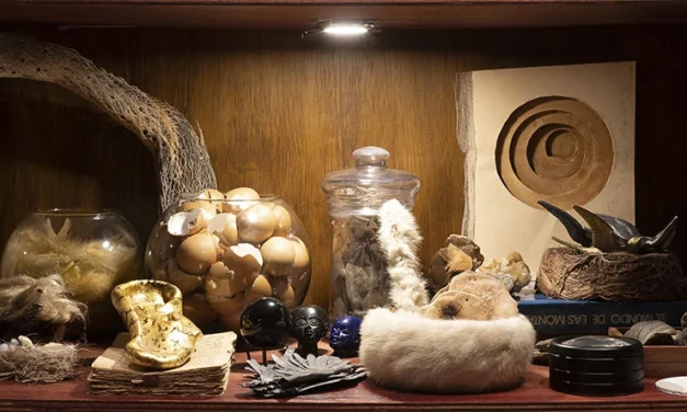 PAMEN PEREIRA: LA ALQUIMIA DE LO LEVE