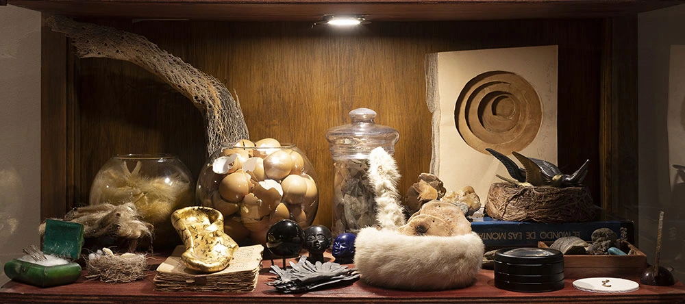 PAMEN PEREIRA: LA ALQUIMIA DE LO LEVE