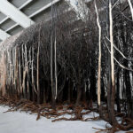 Doris Salcedo: El rastro de lo invisible