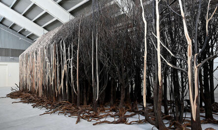 Doris Salcedo: El rastro de lo invisible