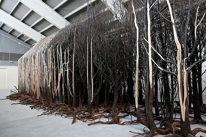 Doris Salcedo: El rastro de lo invisible